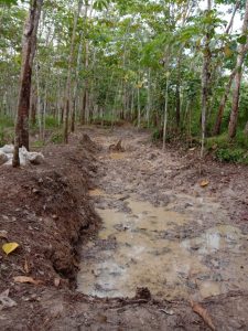 MEDCO E&P TELAH SELESAIKAN PEMBERSIHAN SISA MINYAK AKIBAT VANDALISME DI MODONG