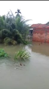 Sungai Batang Hari Abab Meluap, Rendam Puluhan Rumah Warga