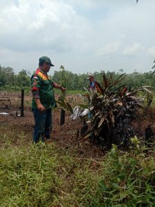 Diduga Korosi, Semburan Minyak Mentah Sampai Puluhan Meter