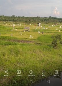 MASYARAKAT PETANI DESA AIR ITAM KELUHKAN PERCETAKAN SAWAH SARSI TAHUN 2019.