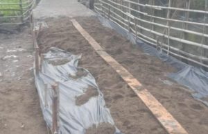 Kualitas Pembangunan Jalan Rabat Beton Desa Air Itam Timur yang Bersumber dari Dana ADD Dipertanyakan, Begini Jelasnya