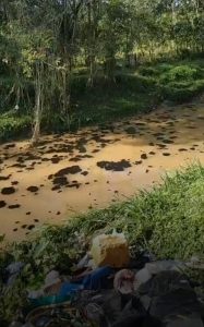 Minyak Mentah Cemari Sungai Kelekar, Diduga Ini Penyebabnya