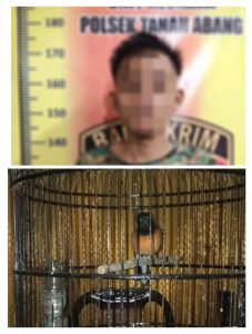 Diduga Curi Burung MB, Pria Ini Diamankan Petugas