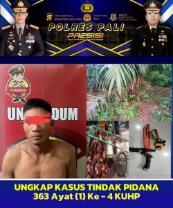Terduga Pencuri Buah Sawit Diamankan Satreskrim Polres PALI, Begini Jelasnya