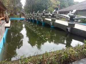 Kolam Air Mancur Disekitar Kantor Pemda Purwakarta Berpotensi Jadi Sarang Nyamuk DBD Berkembang Biak