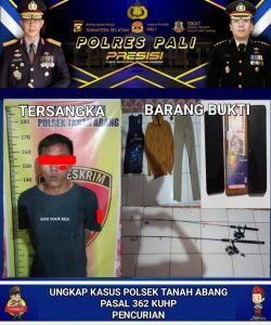 Terduga Pelaku Pencuri di Pasar Tradisional Desa Suka Raja Diamankan Unit Reskrim Polsek Tanah Abang, Begini Jelasnya