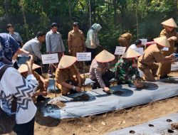 Hadiri Gerakan Tanam Serentak Cabai dan Bawang Merah di BPP, Ini Kata Kapolsek Tanah Abang
