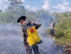 Dibantu Water Bombing, Tim Gabungan Penanggulangan Karhutla Berjibaku Padamkan Api di Indralaya Utara