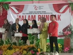 Kemeriahan Malam Puncak HUT RI KE-79 Desa Pengabuan