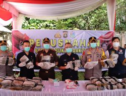 Polres OKUT Polda Sumsel Musnahkan Barang Bukti 35,7 KG Narkotika jenis Ganja