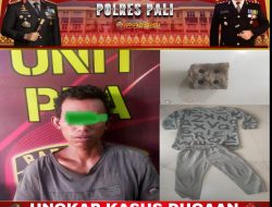 Terduga Pelaku KDRT Diamakan Satreskrim Polres PALI, Begini Jelasnya