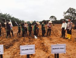Dukung Program Nasional Tanam jagung Serentak  Satu Juta  Hektar, Ini Kata Kapolres PALI