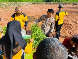 Kebun Ketahanan Pangan Satker Bidkum Polda Sumsel di Panen, Seluruh Hasil Dibagikan ke Masyarakat Sekitar