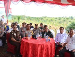 Polres PALI Gelar Panen Raya Jagung Tahap I: Wujud Sinergi dalam Mendukung Ketahanan Pangan Nasional