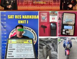Berencana Akan Pesta Narkoba, Warga Air Itam ini Diamankan Petugas di Jalan Raya Desa Betung
