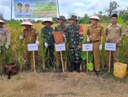 Hadir di Acara Panen Bersama Padi Gogo di Desa Tempirai, Ini Kata Kapolres PALI