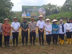 Dukung Ketahanan Pangan, Ini yang Dilakukan Pemda PALI