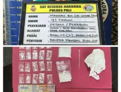 Satresnarkoba Polres PALI Tangkap Terduga Pengedar Sabu di Desa Prambatan, Amankan 24,72 Gram Barang Bukti