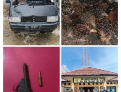 DPO Pencuri Sawit dan Penyimpan Senpi Ilegal Berhasil Dibekuk Tim Elang Polsek Talang Ubi 