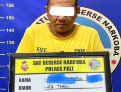 Satresnarkoba Polres PALI Bekuk Pengedar Narkotika di Talang Nanas, Sita Sabu dan Ganja Siap Edar