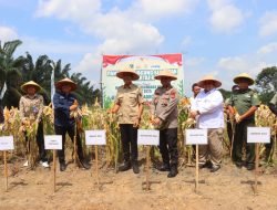 PANEN RAYA JAGUNG SERENTAK KUARTAL II DI PALI: POLRI DAN PEMERINTAH DAERAH PERKUAT KETAHANAN PANGAN NASIONAL 2025