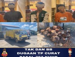 Nasib Sial Dialami Kawanan Terduga Pencuri Buat Sawit PT Agro, Mobil Mogok Saat Dikejar Petugas