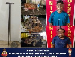 Tangkap Dua Pencuri Sawit, 132 Tandan Diamankan, Ini Kata Kapolsek Talang Ubi