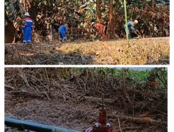 Semburan Minyak dari Pipa Diduga Milik PT Pertamina Adera semburi Kebun dan Jalan Raya di Tanah Abang