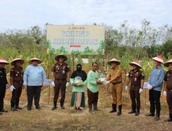 Panen Jagung Jadi Simbol Sinergi Jaksa dan Petani di Bumi Serepat Serasan