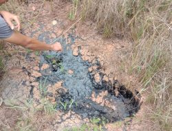 Belum Adanya Tindakan Tegas dari Pertamina Terkait Limbah yang Mencemari Lahan Warga Desa Pengabuan, Ini Kata Pemilik Kebun