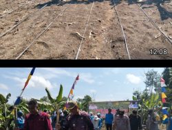 Penanaman Jagung Perdana di Desa Raja Barat, Kapolsek Tanah Abang Tegaskan Komitmen Kawal Program Ketahanan Pangan