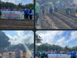 DUKUNG PROGRAM KETAHANAN PANGAN MELALUI PENANAMAN JAGUNG DI DESA PANTA DEWA, INI POLSEK TALANG UBI