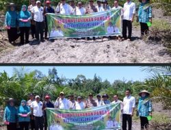 Polsek Penukal Utara Bersama Pemerintah Desa Laksanakan Penanaman Jagung di Desa Lubuk Tampui