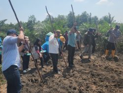 Wujud Sinergi Pemerintah dan Polri Dukung Ketahanan Pangan : penanaman Jagung di Desa Prambatan