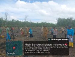 Polsek Penukal Abab Dukung Program Ketahanan Pangan Melalui Penanaman Jagung di Desa Purun