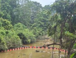 Medco E&P Tangani Kebocoran Pipa Minyak di Sungai Ibul, Begini Jelasnya