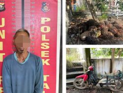Berhasil Tangkap Pelaku Pencurian Sawit di Perkebunan PT. Suryabumi Agrolanggeng, Ini Kata Kapolsek Talang Ubi