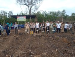 Dukung Program Ketahanan Pangan Nasional Dinas PMD Hadir di Acara Penanaman Jagung di Desa Karta Dewa