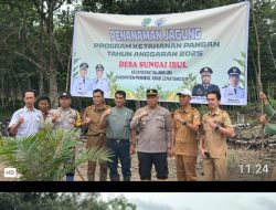 Dukung Ketahanan Pangan Nasional Lewat Penanaman Jagung di Desa Sungai Ibul, Ini Kata Kapolsek Talang Ubi