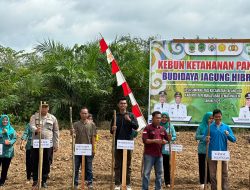 Perkuat Ketahanan Pangan Daerah, Polsek Talang Ubi Laksanakan Penanaman Jagung di Desa Simpang Tais
