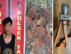 Jejak Malam di Perkebunan Sawit, Polsek Talang Ubi Amankan Pelaku Pencurian