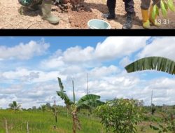 Peringati Hari Menanam Pohon, Bhabinkamtibmas Polsek Talang Ubi Bersama Masyarakat Tanam Pohon di KHDTK Benakat