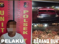 Terduga Aktor Intelektual Diamankan, Polsek Talang Ubi Ungkap Kasus Pencurian Sawit