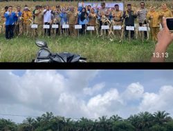 Polsek Talang Ubi Dukung Ketahanan Pangan Nasional,Panen Jagung Hibrida di Desa Pantadewa