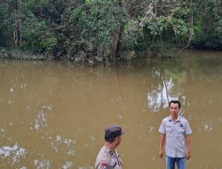 Kapolres PALI Imbau Waspada Potensi Banjir, Polsek Penukal Utara Lakukan Monitoring Debit Air