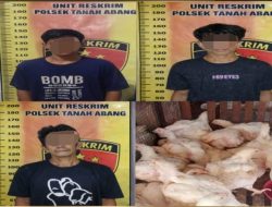 Penggelapan Ayam Berkedok Kepercayaan, Polisi Ungkap Peran Penadah