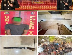 Empat Terduga Pelaku Curi Sawit, Satu Ditangkap, Tiga Masih Dalam Pengejaran