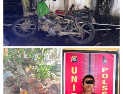 Diduga Curi 28 Tandan Sawit, Seorang Petani di Talang Ubi Ditangkap Polisi