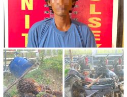 Reskrim Polsek Talang Ubi Ungkap Kasus Pencurian Sawit, Pelaku dan Barang Bukti Diamankan