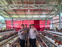 Dorong Kemandirian Ekonomi, Bhabinkamtibmas Kembangkan Usaha Ayam Petelur